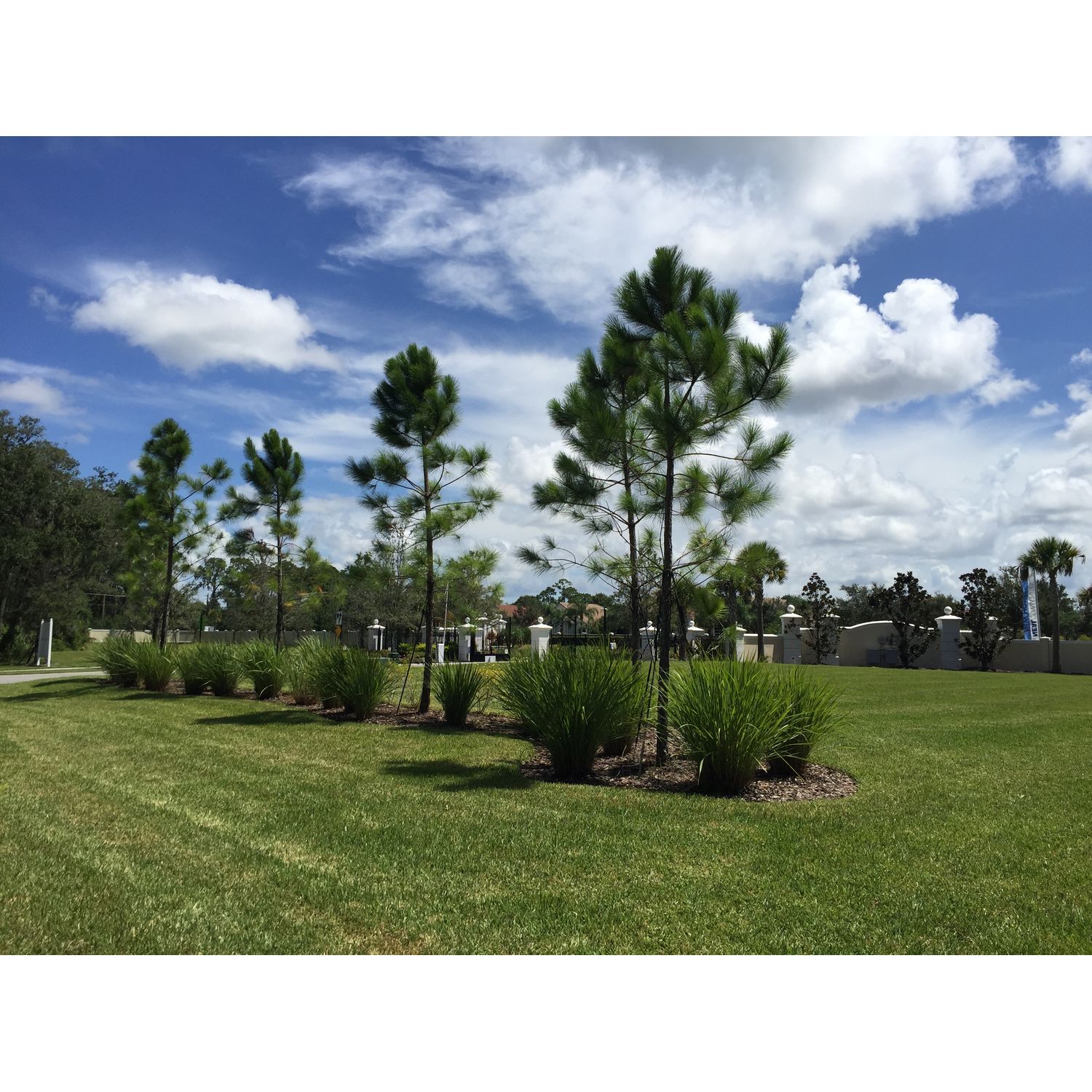 Photo of Woodland Trace in Sarasota, FL 34243