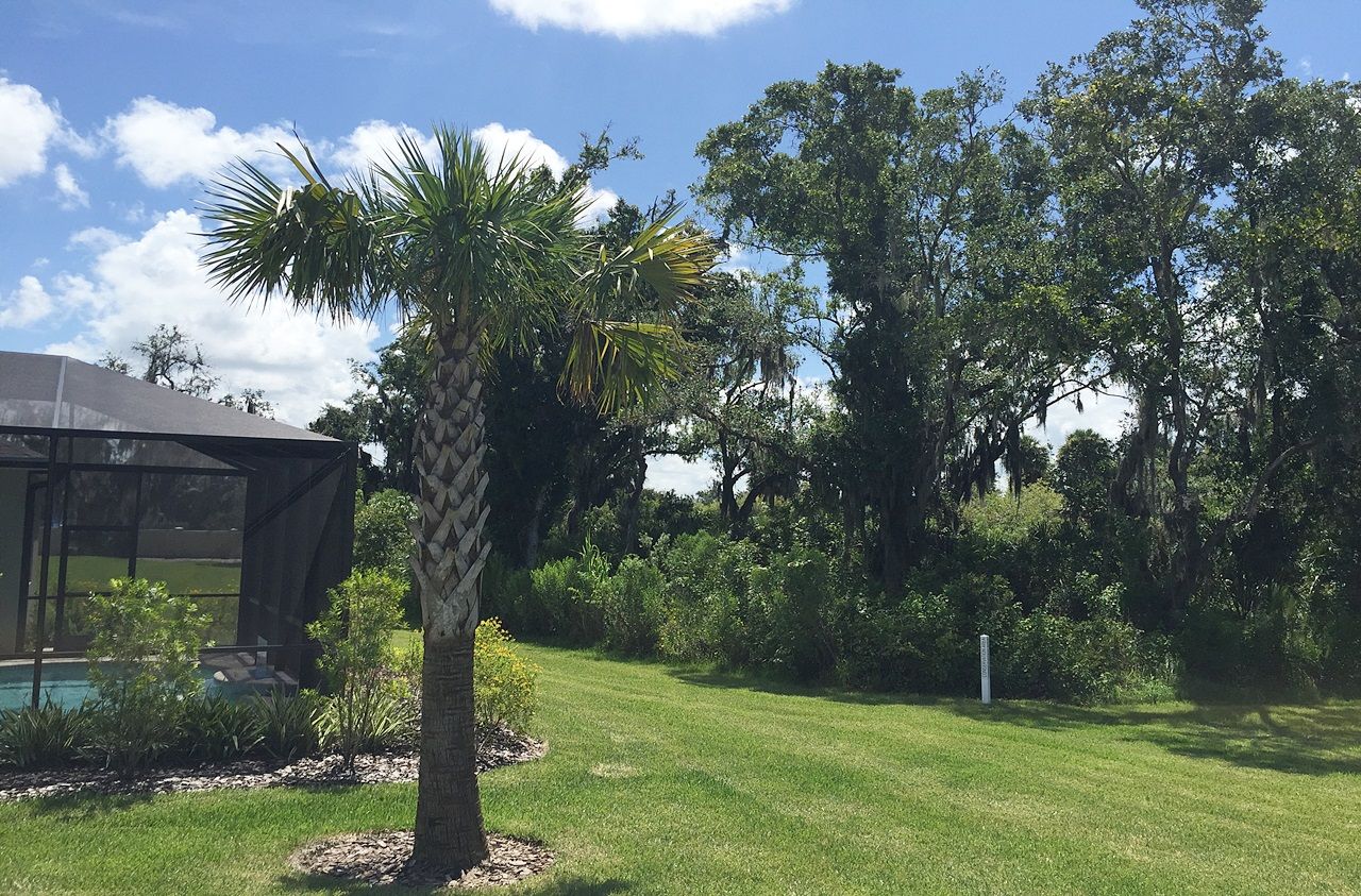 Photo of Woodland Trace in Sarasota, FL 34243