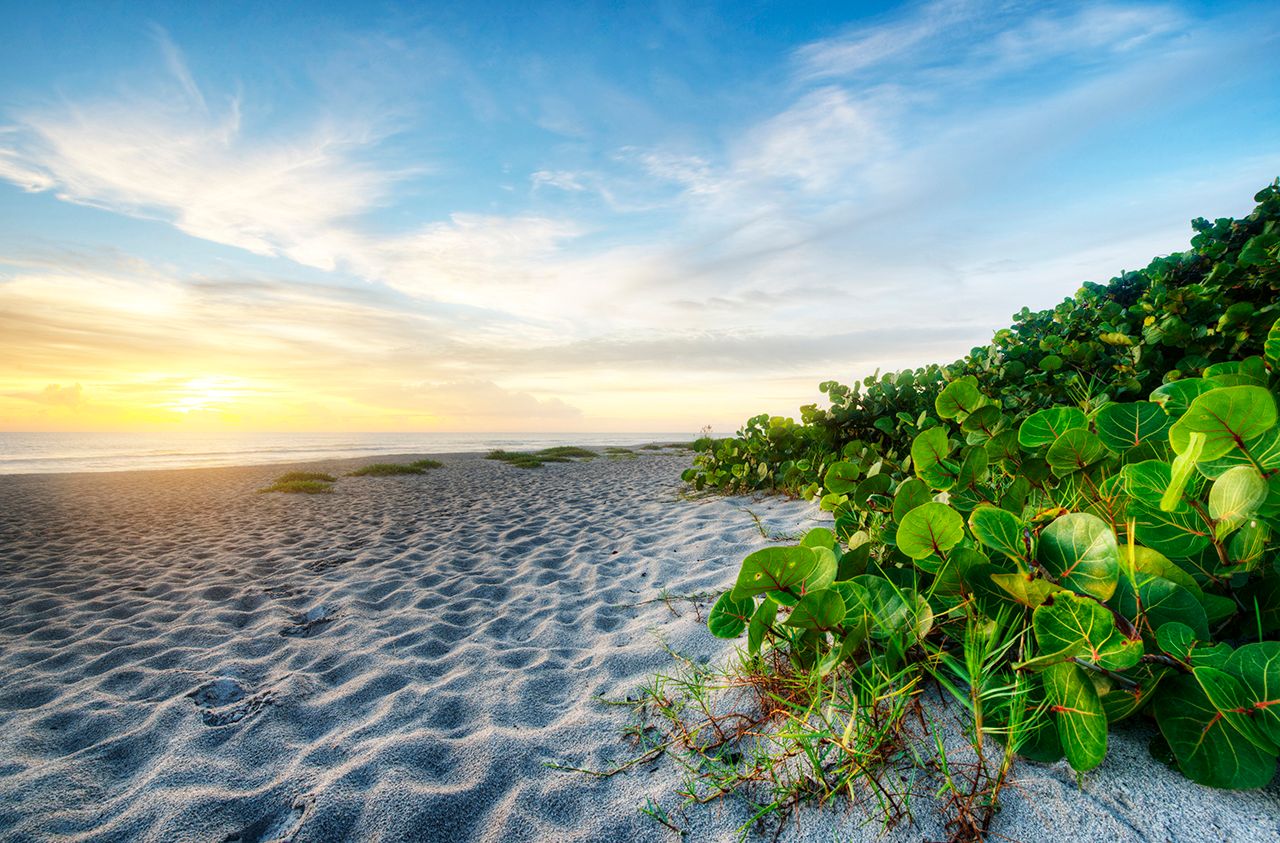 Photo of Richmond Park in Naples, FL 34120
