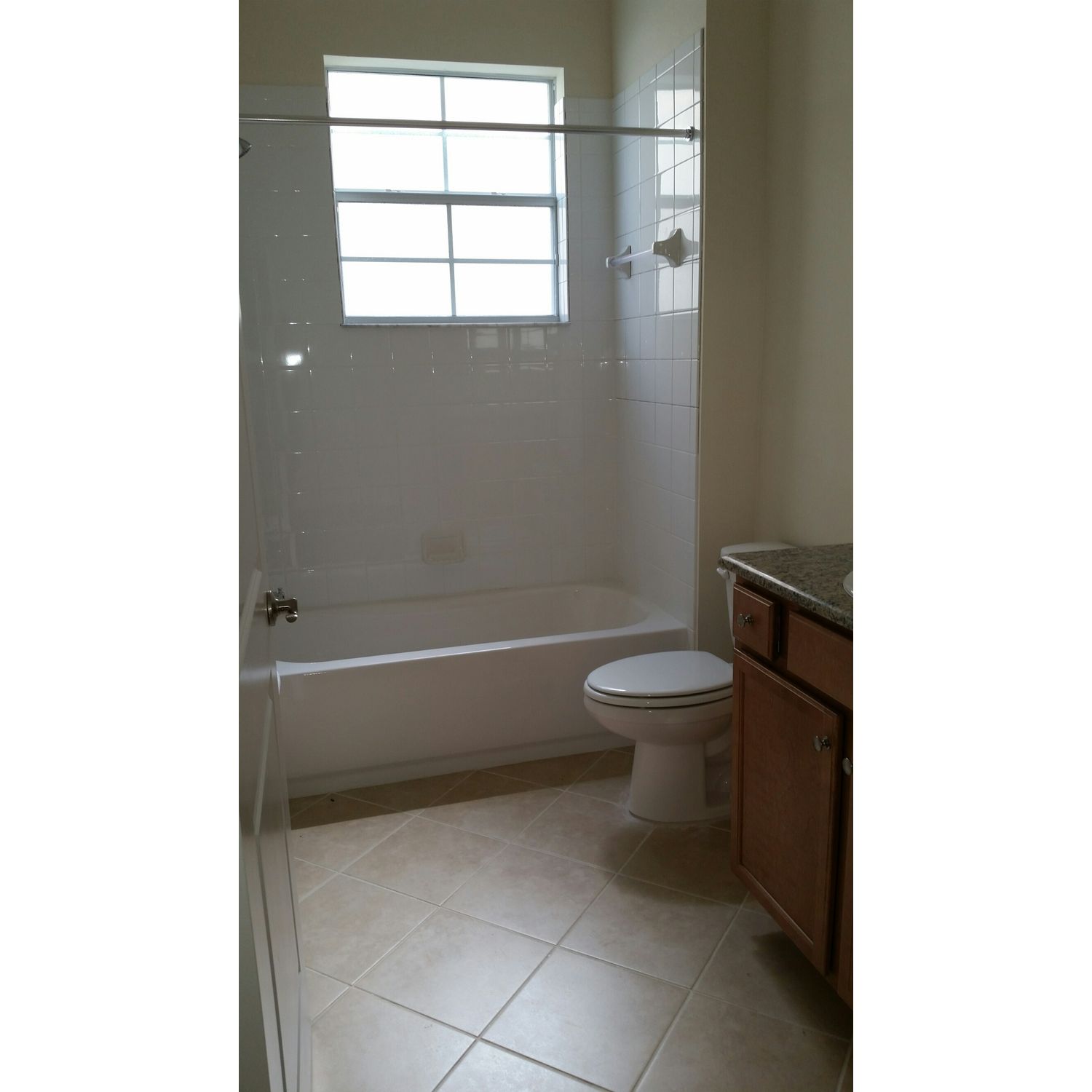Photo of Savannah in Tampa, FL 33625