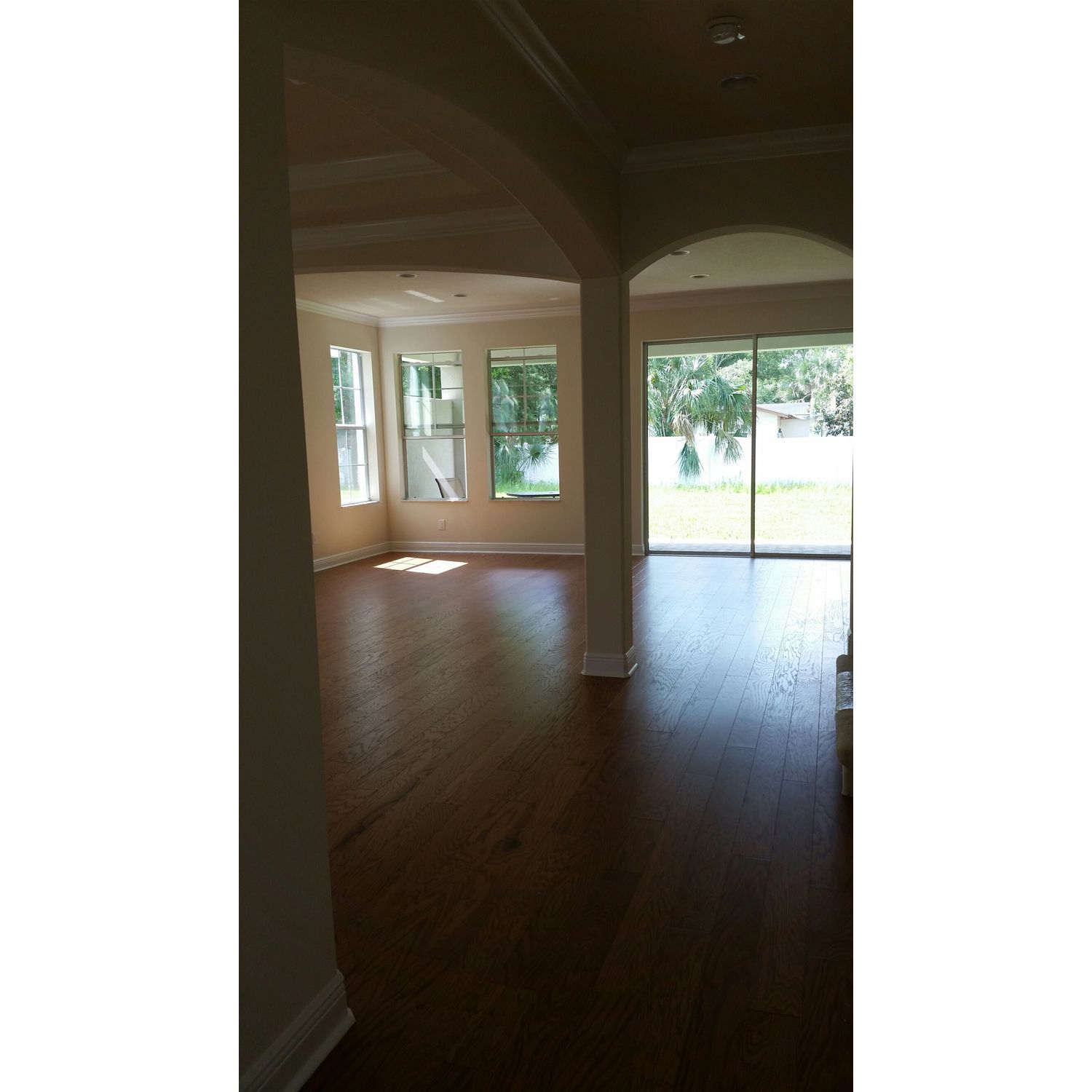 Photo of Savannah in Tampa, FL 33625