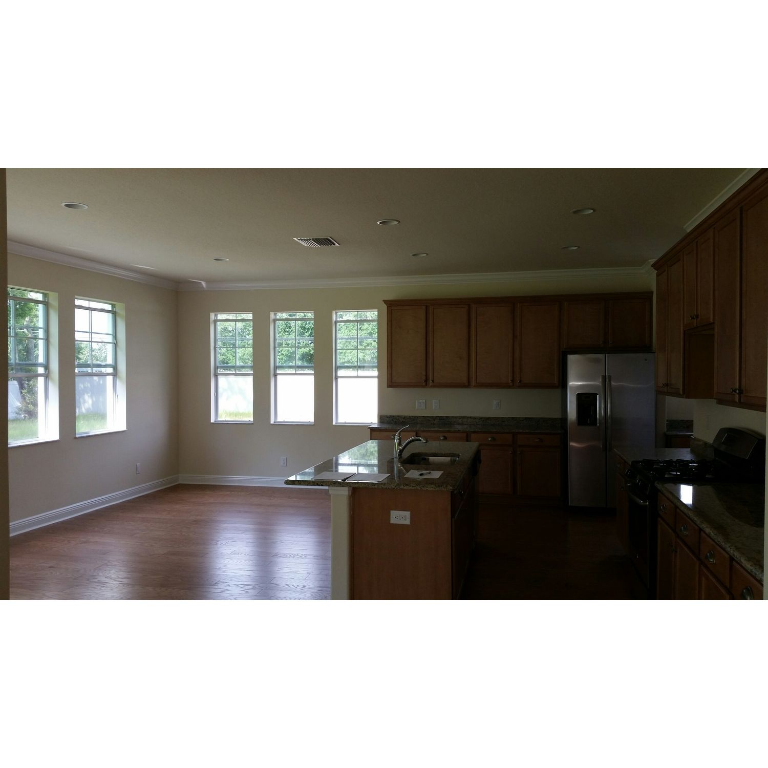Photo of Savannah in Tampa, FL 33625
