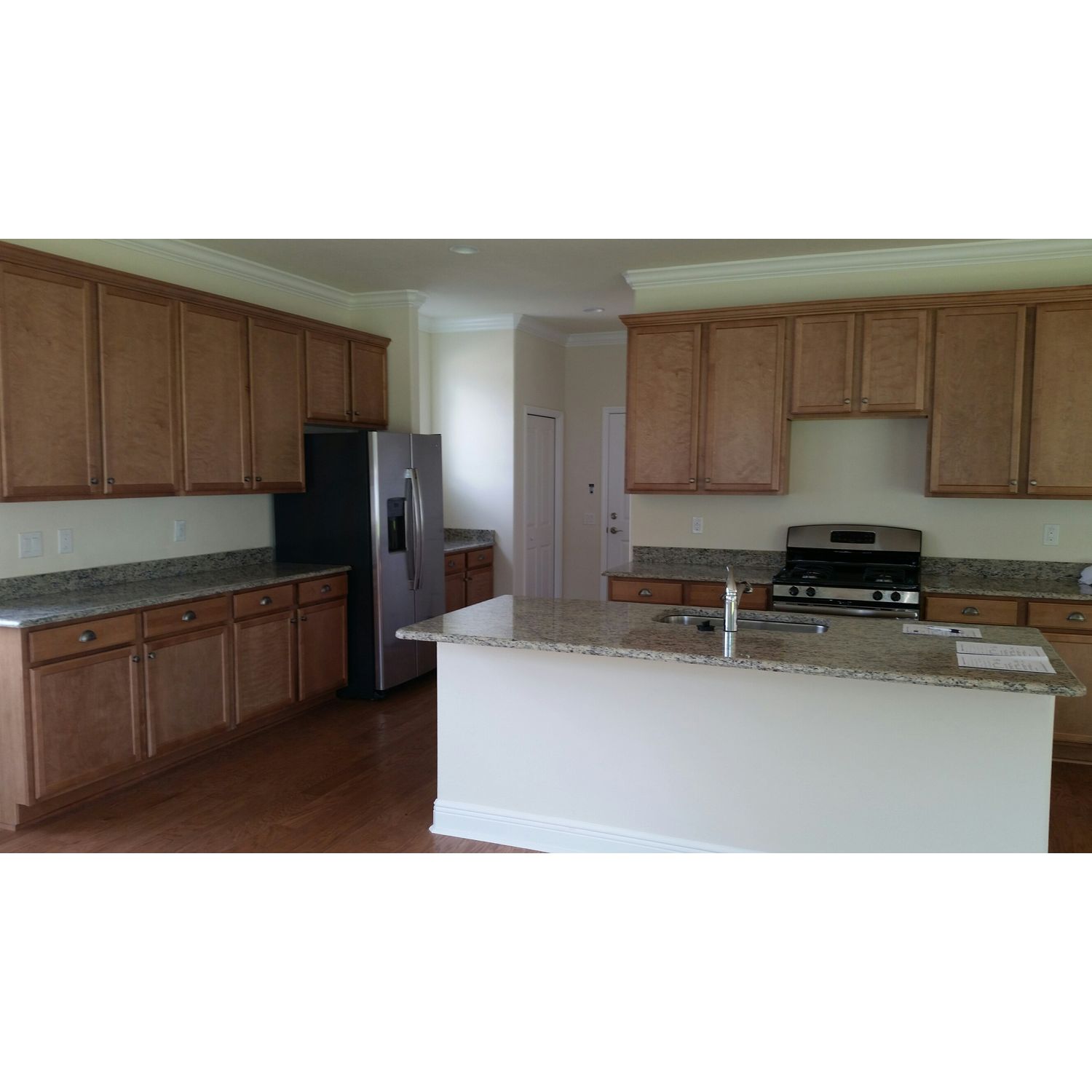 Photo of Savannah in Tampa, FL 33625