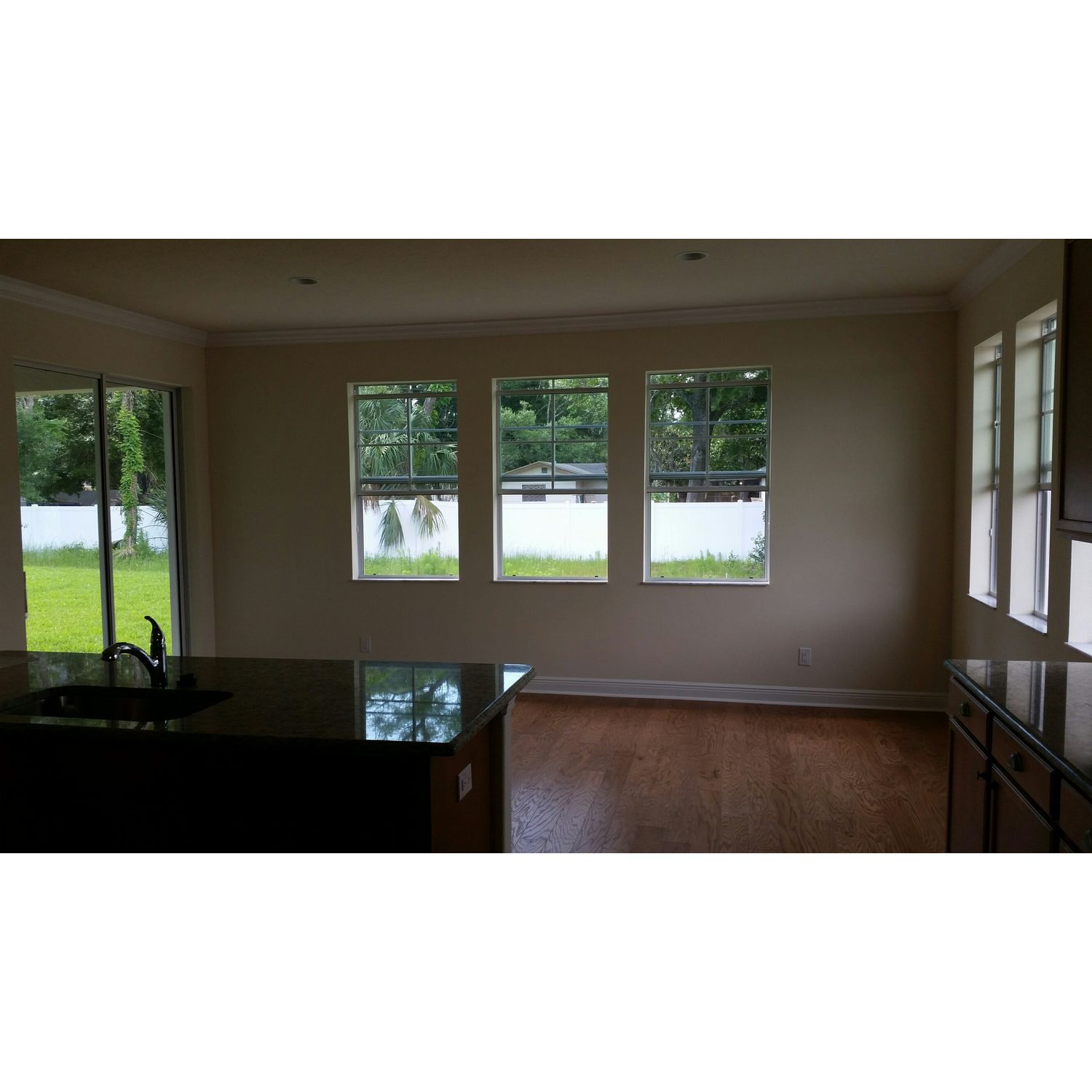 Photo of Savannah in Tampa, FL 33625