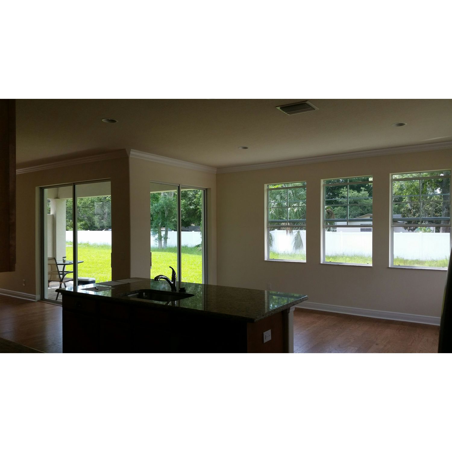 Photo of Savannah in Tampa, FL 33625
