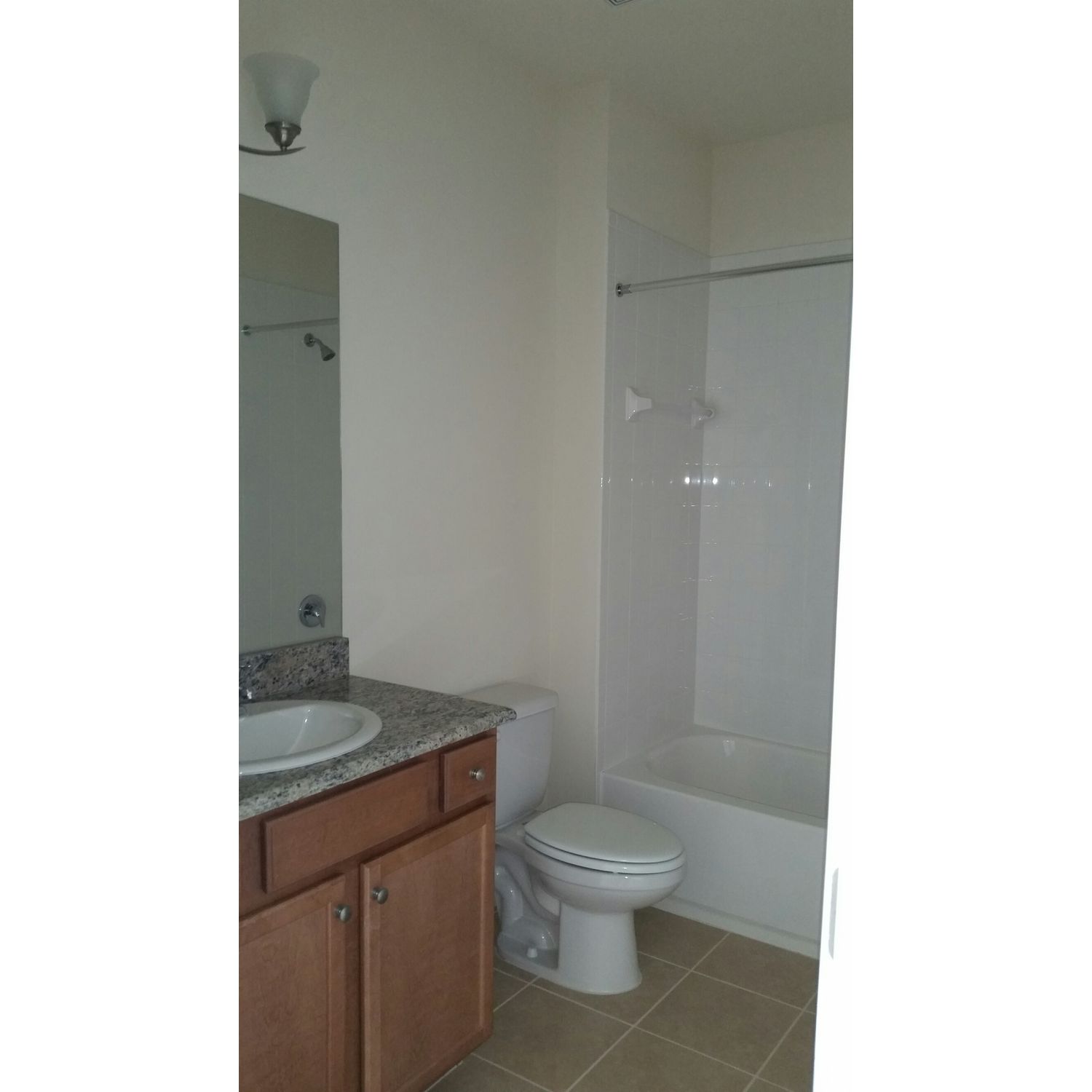 Photo of Savannah in Tampa, FL 33625