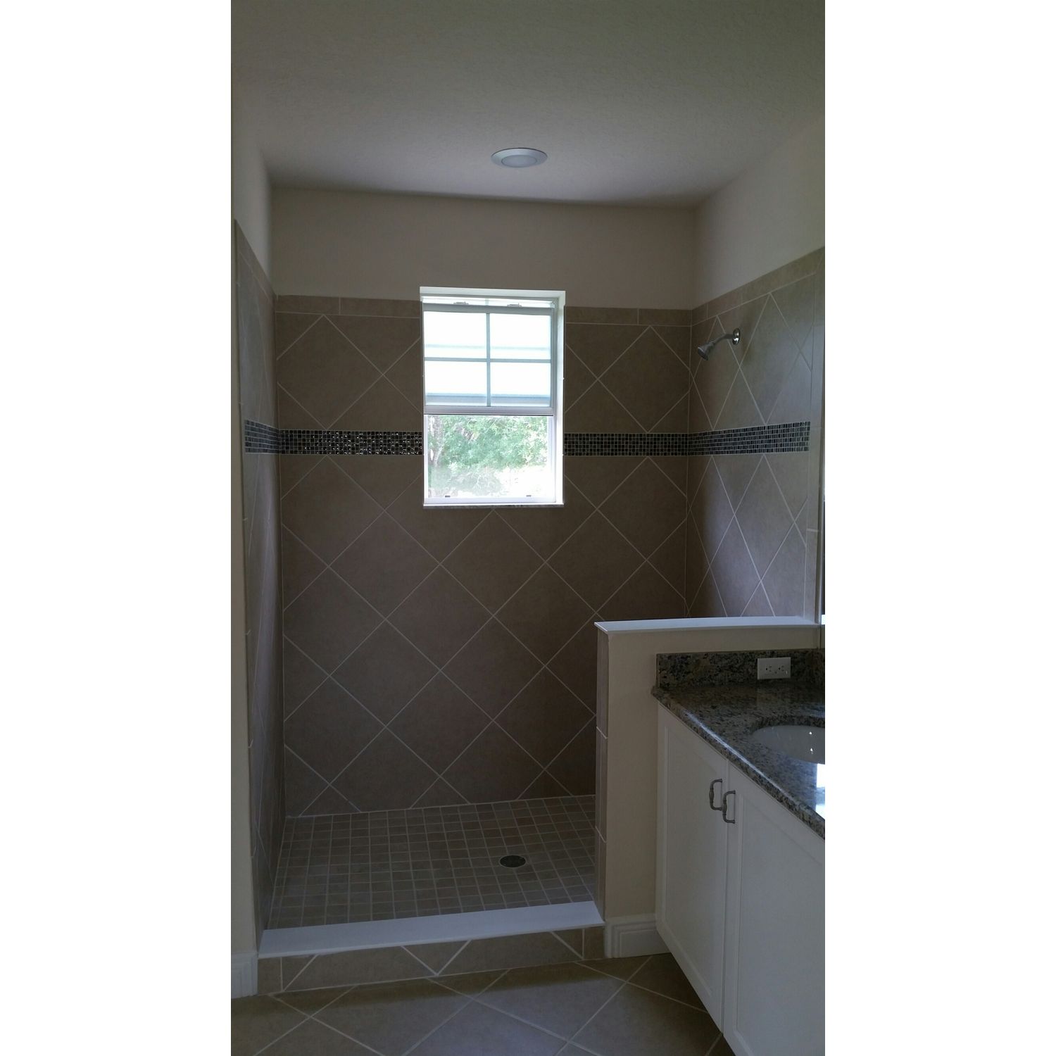 Photo of Savannah in Tampa, FL 33625