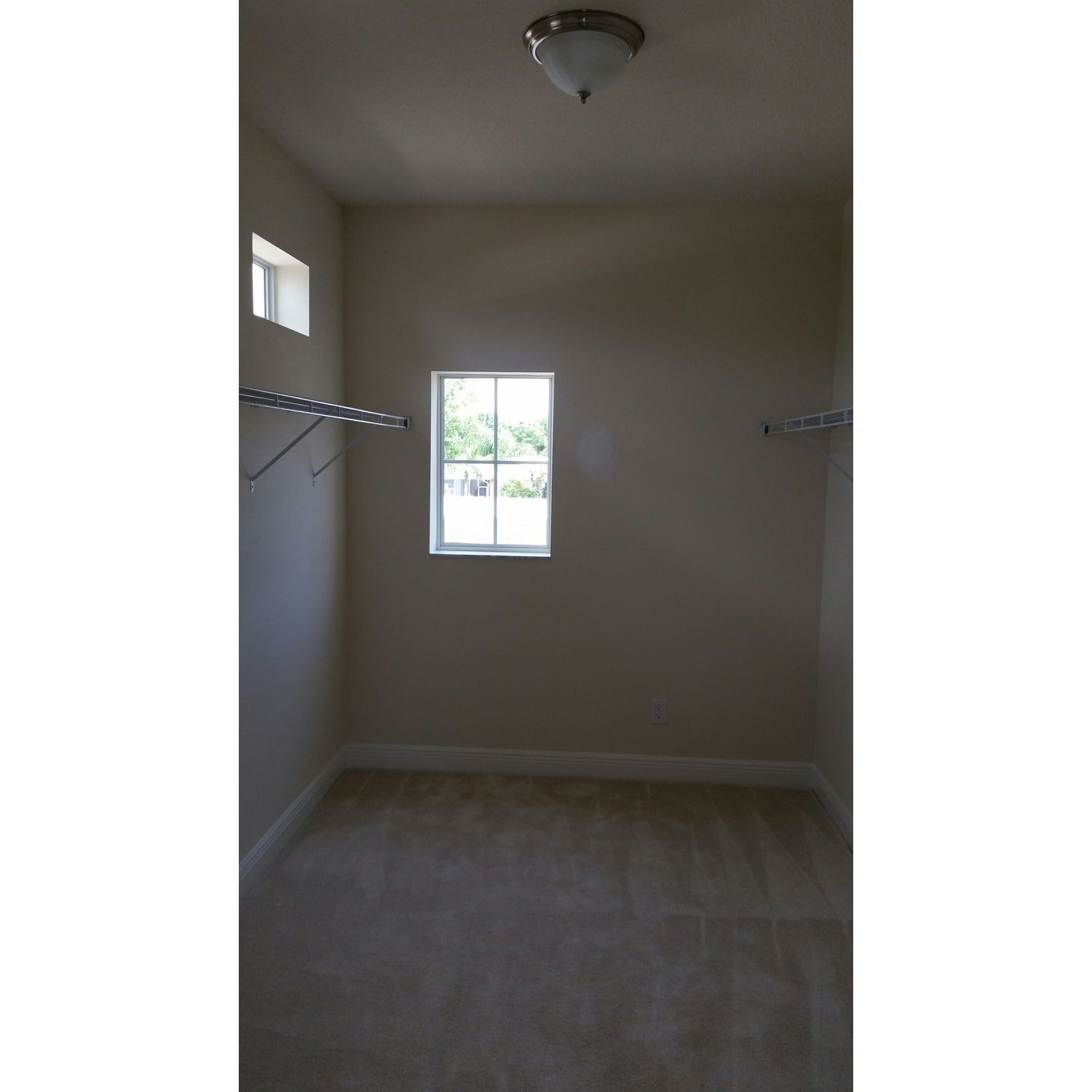 Photo of Savannah in Tampa, FL 33625