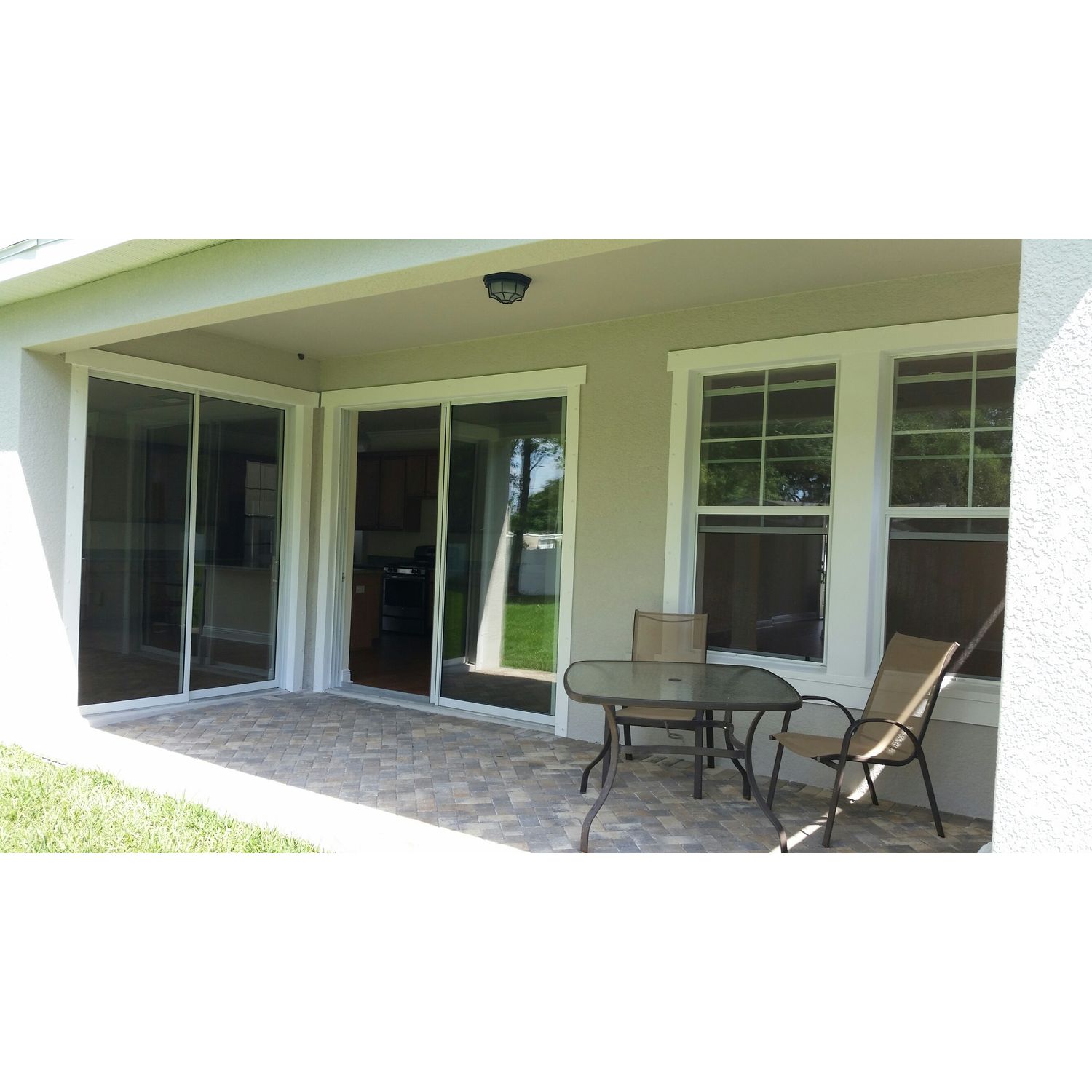 Photo of Savannah in Tampa, FL 33625