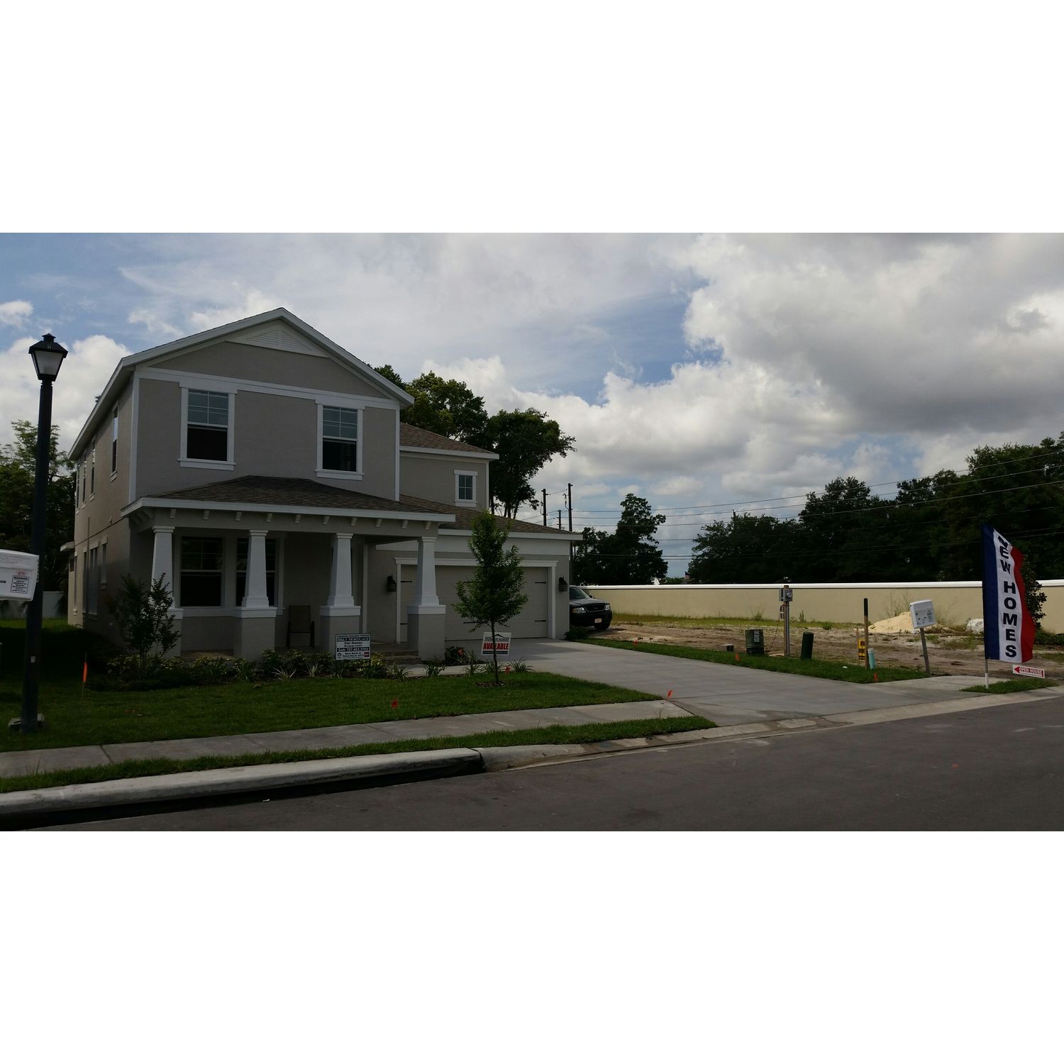 Photo of Savannah in Tampa, FL 33625