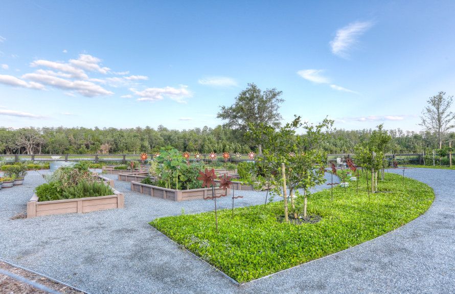 Photo of Laureate Park in Orlando, FL 32827