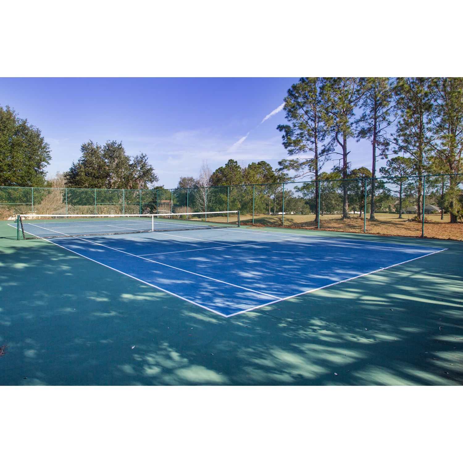 Photo of Palisades in Clermont, FL 34711