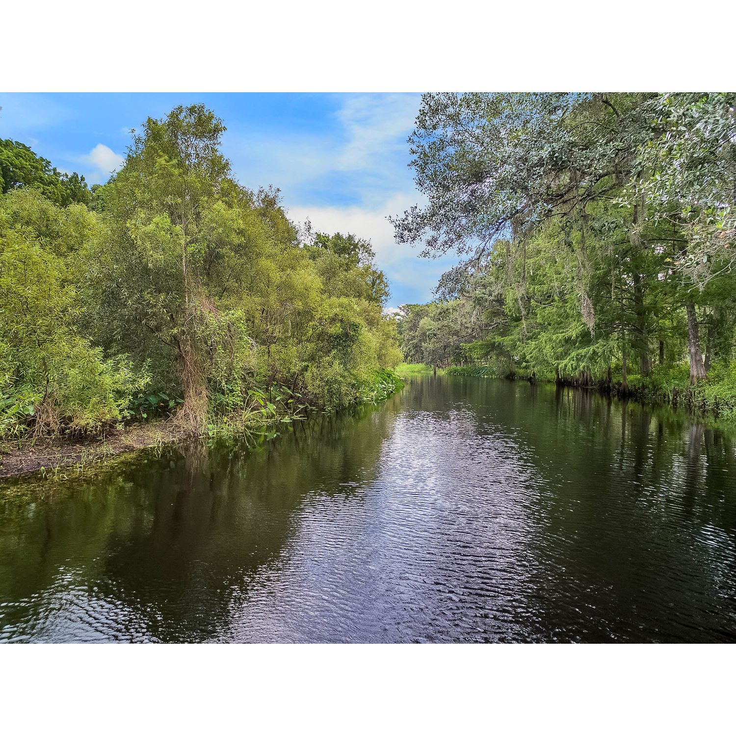 Photo of VillaSol in Kissimmee, FL 34744