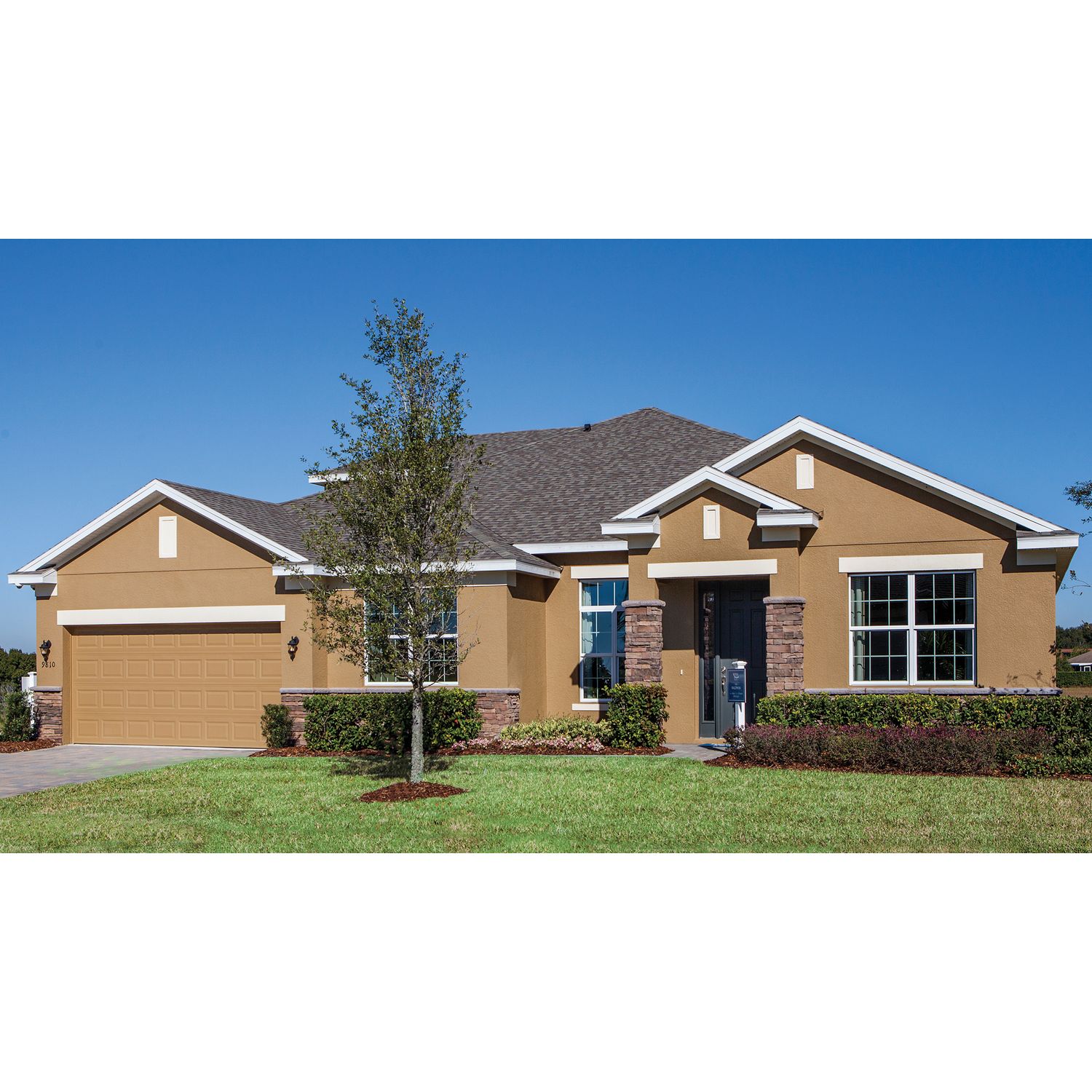 Photo of Baldwin in Winter Garden, FL 34787