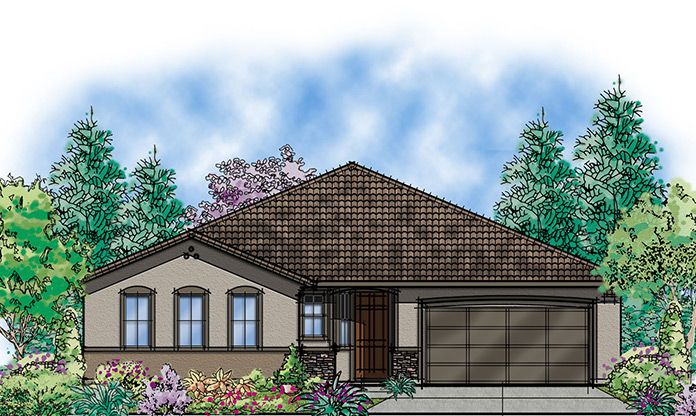 Photo of Burdock in West Sacramento, CA 95691
