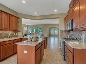 Photo of Gardenia in Groveland, FL 34736