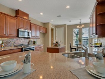 Photo of Gardenia in Groveland, FL 34736