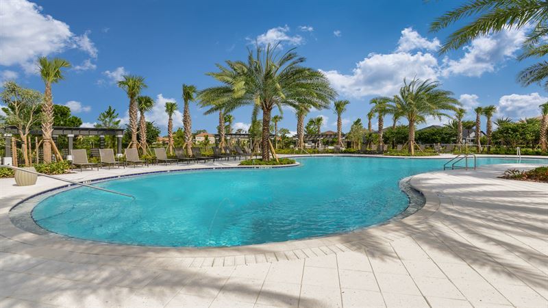 Photo of Waterleaf in Apollo Beach, FL 33572