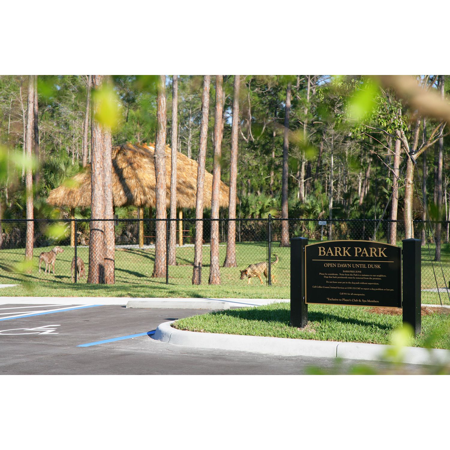 Photo of Lely Resort in Naples, FL 34113