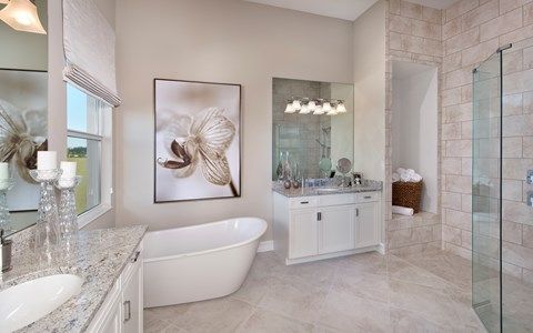 Photo of Anastasia in Naples, FL 34119