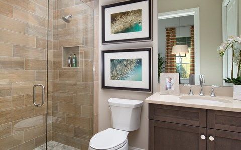 Photo of Anastasia in Naples, FL 34119