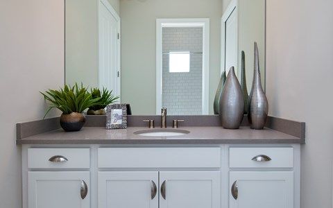 Photo of Anastasia in Naples, FL 34119