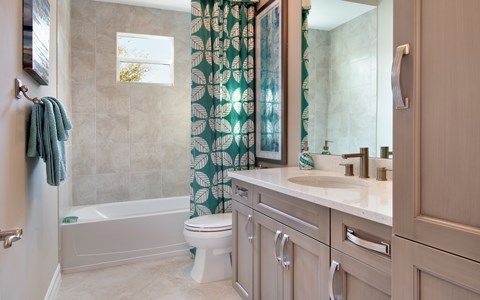 Photo of Venice in Naples, FL 34119
