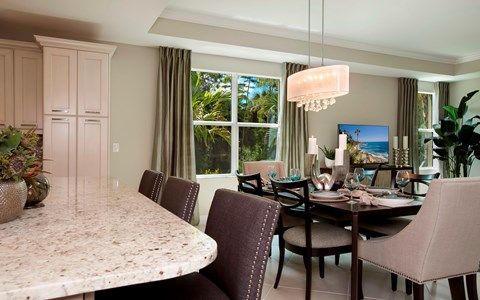 Photo of Venice (Tasori) in Naples, FL 34119