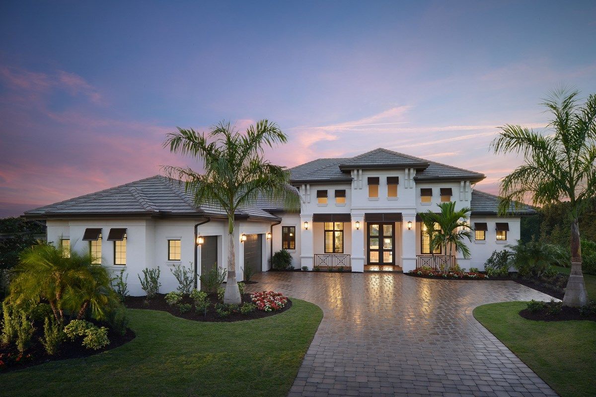 Photo of Stella in Naples, FL 34119