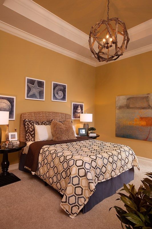 Photo of Normandy II in Naples, FL 34119