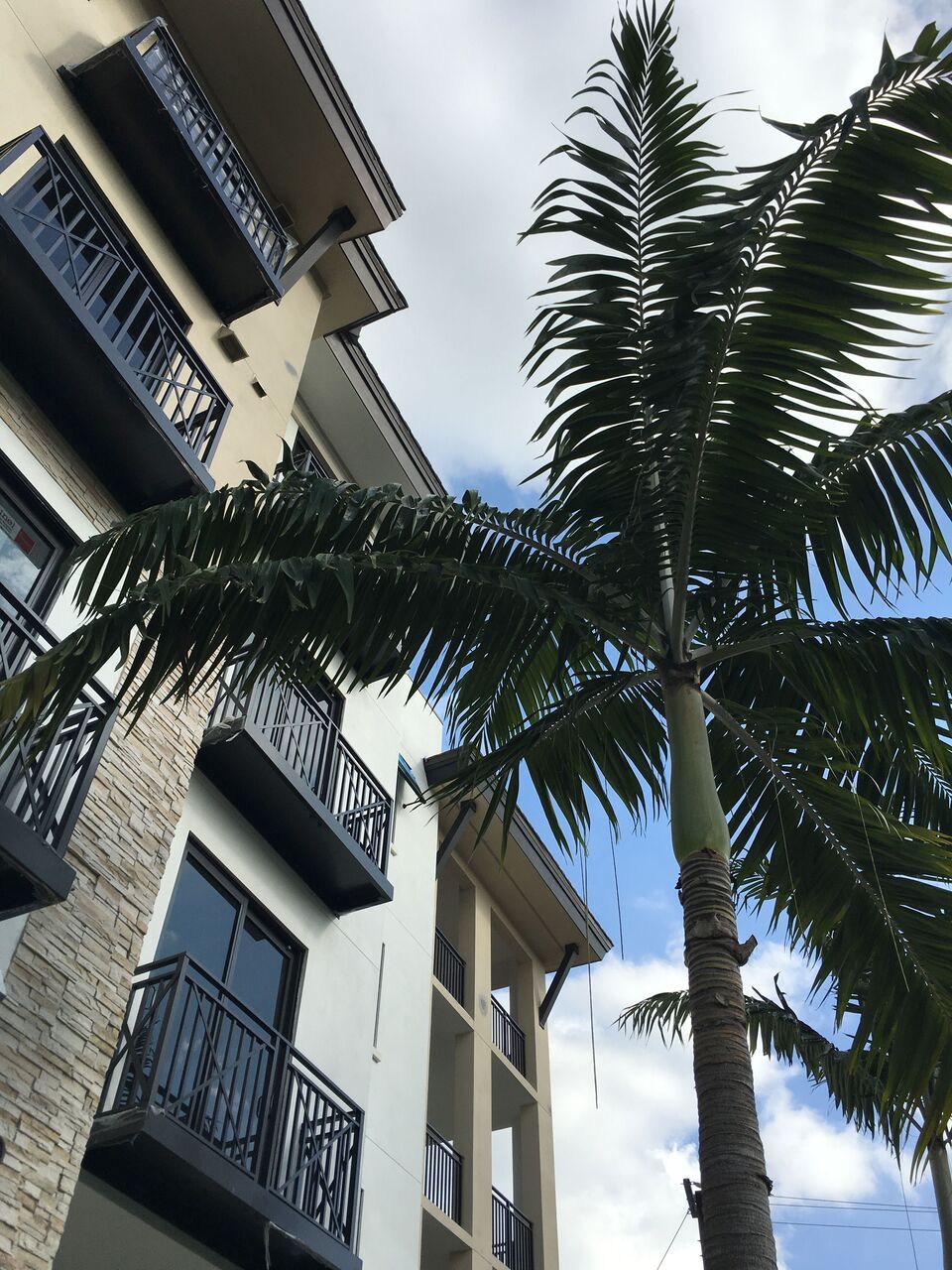 Photo of Naples Square in Naples, FL 34102