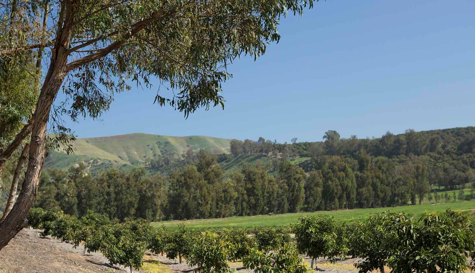 Photo of Varenna at Orchard Hills in Irvine, CA 92602