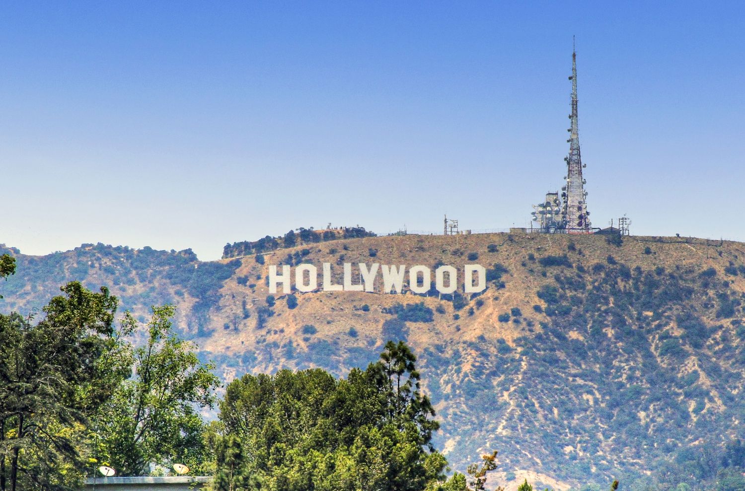 Photo of Panorama in Los Angeles, CA 90068