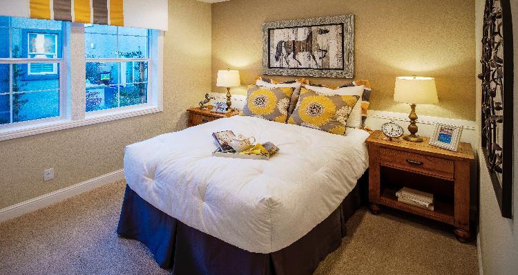 Photo of Cambrian Plan 2 - in ,